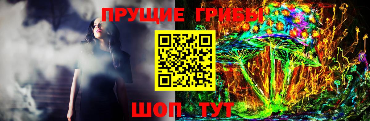 Псилоцибиновые грибы Psilocybine cubensis Усолье-Сибирское